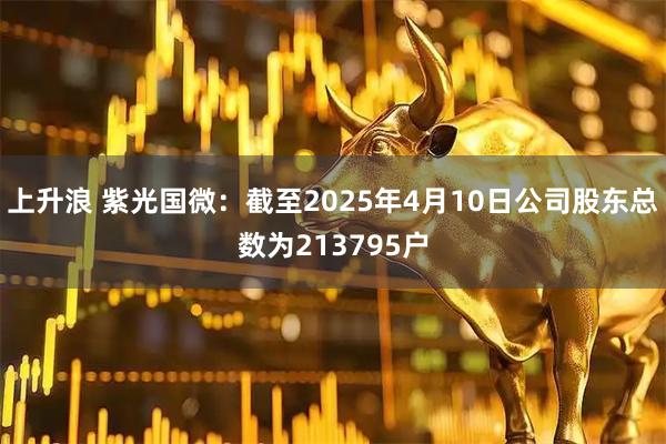 上升浪 紫光国微：截至2025年4月10日公司股东总数为213795户