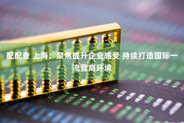 配配查 上海：聚焦提升企业感受 持续打造国际一流营商环境