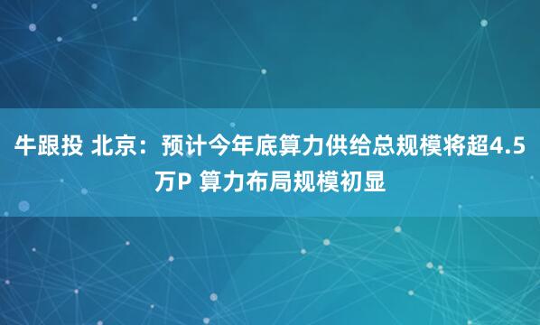 牛跟投 北京：预计今年底算力供给总规模将超4.5万P 算力布局规模初显