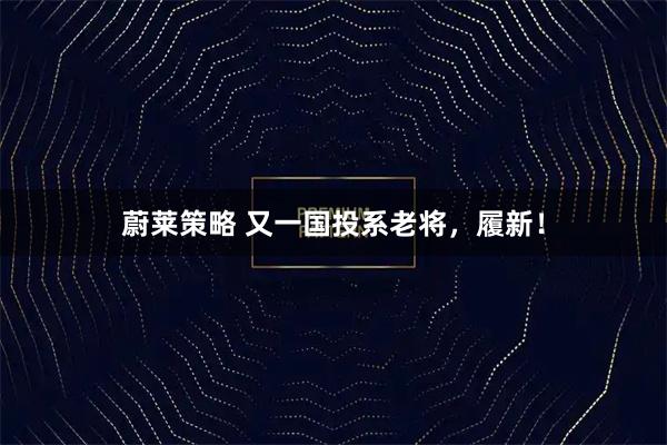 蔚莱策略 又一国投系老将，履新！