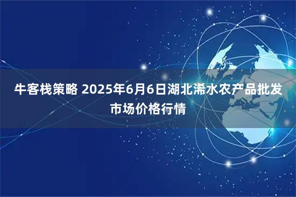 牛客栈策略 2025年6月6日湖北浠水农产品批发市场价格行情
