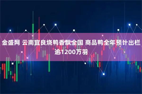 金盛网 云南宜良烧鸭香飘全国 商品鸭全年预计出栏逾1200万羽