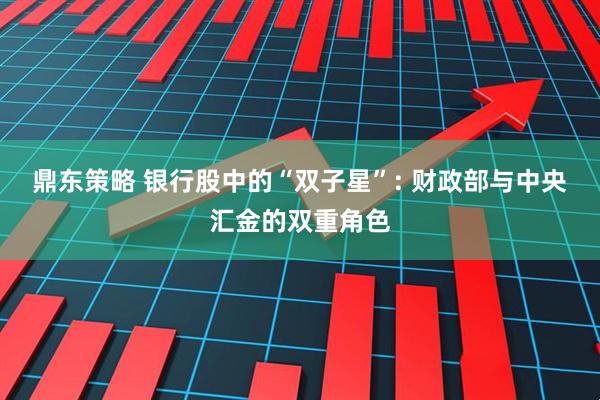 鼎东策略 银行股中的“双子星”: 财政部与中央汇金的双重角色